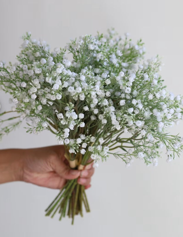 Baby's Breath Stem (pack of 5)