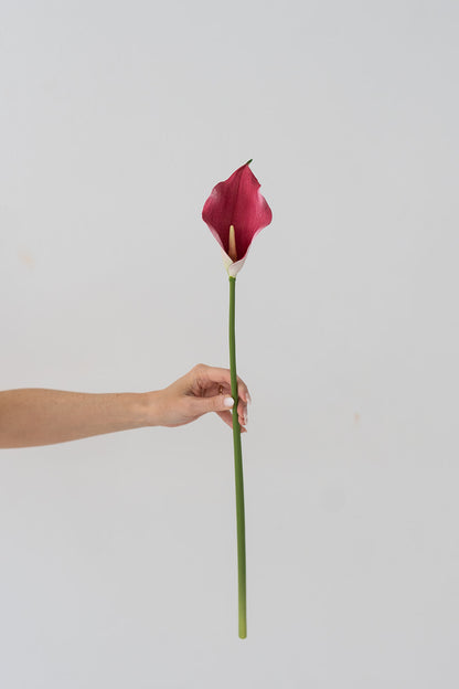 Calla Lily - Pink (Real Touch)