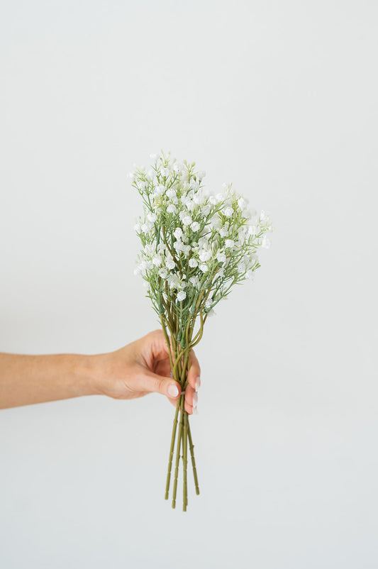 Baby's Breath Stem (pack of 5)