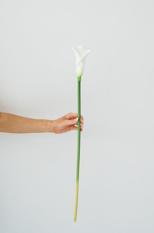 Calla Lily (Real Touch)