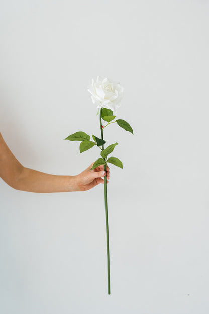 White Rose (Real Touch)