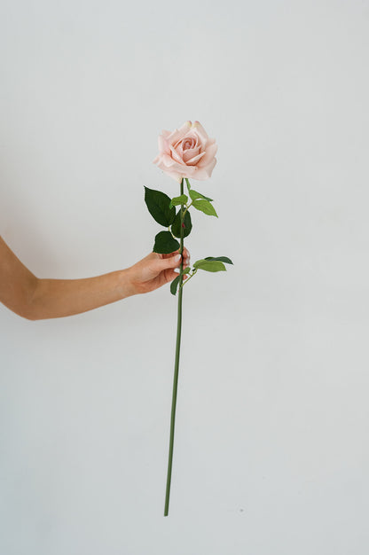 Blush Pink Rose (Real Touch)