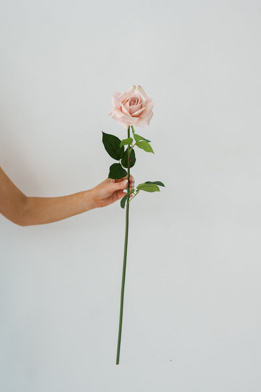 Blush Pink Rose (Real Touch)